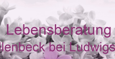 Lebensberatung Möllenbeck bei Ludwigslust | Top-Experten für Kartenlegen, Wahrsagen, Hellsehen, Zukunftsdeutung.